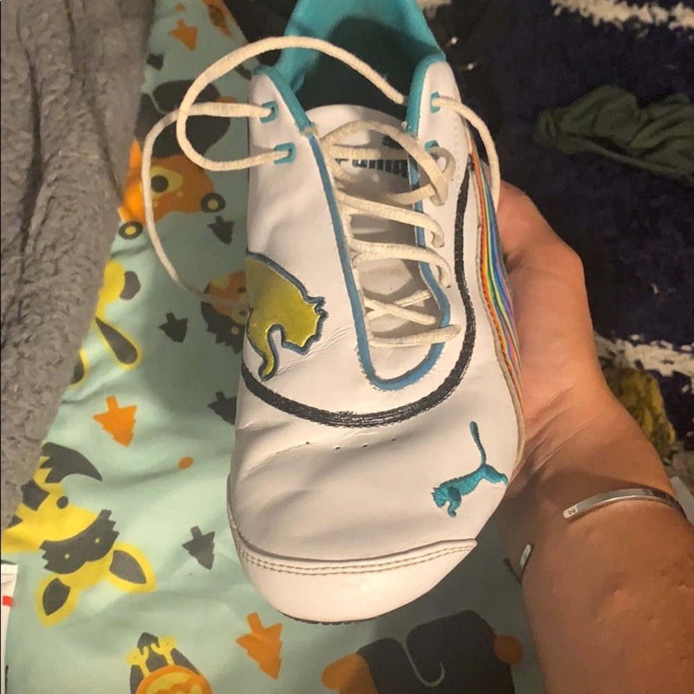 Hand painted puma - Picture 4 of 5